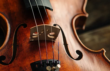 Violons et violoncelles